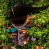 Restaurant Pan - Reserveren